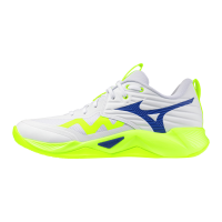 Mizuno Wave Momentum...