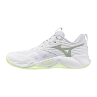 Mizuno Wave Momentum...