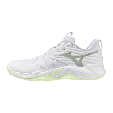 Mizuno Wave Momentum...